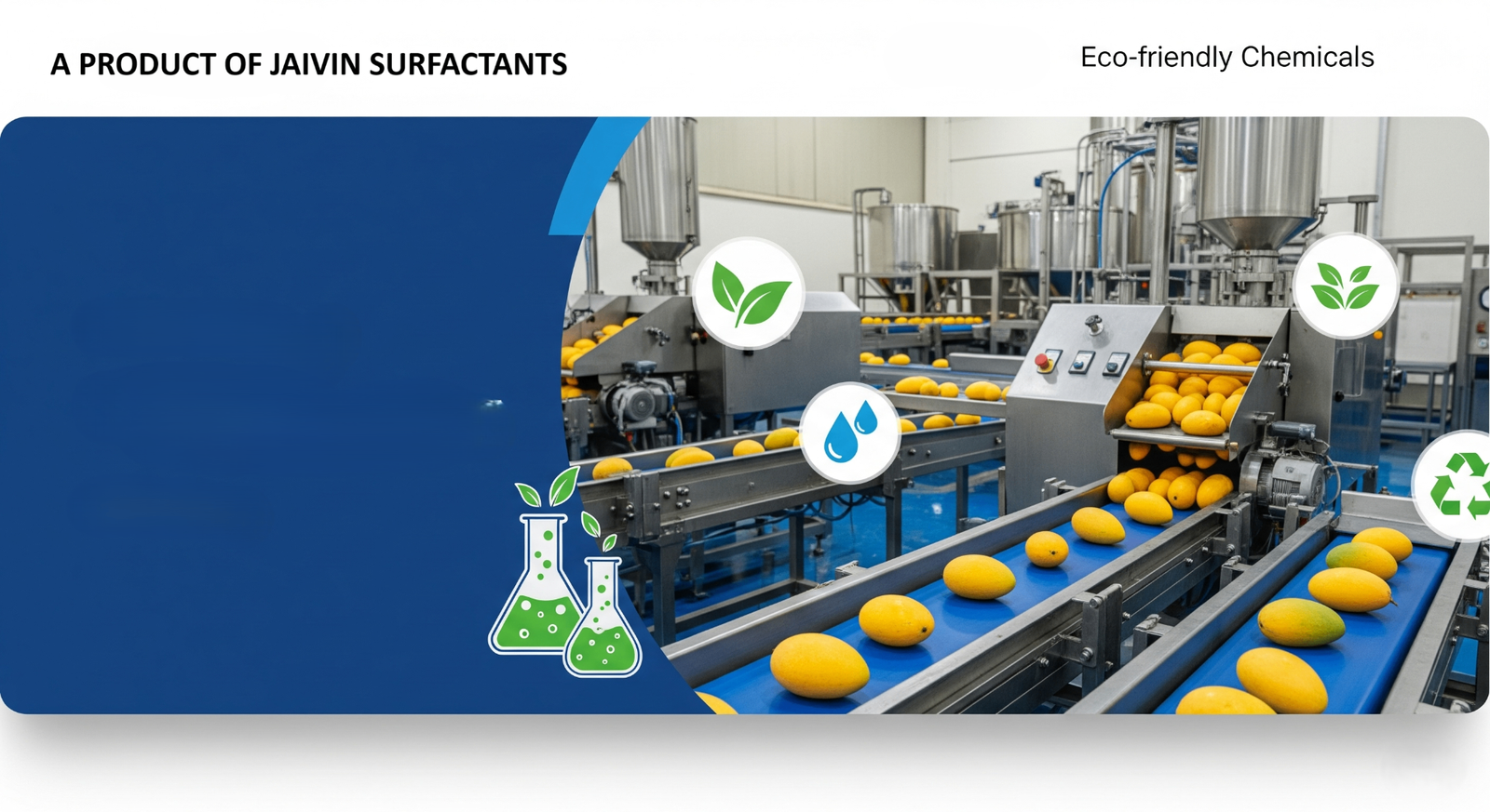 Mango Pulp Processing Facility